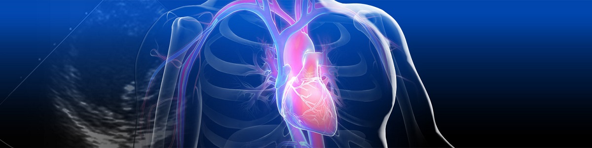 Cardiac and Arteries Surgery