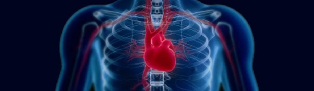 أمراض القلب والشرايين وضغط الدم